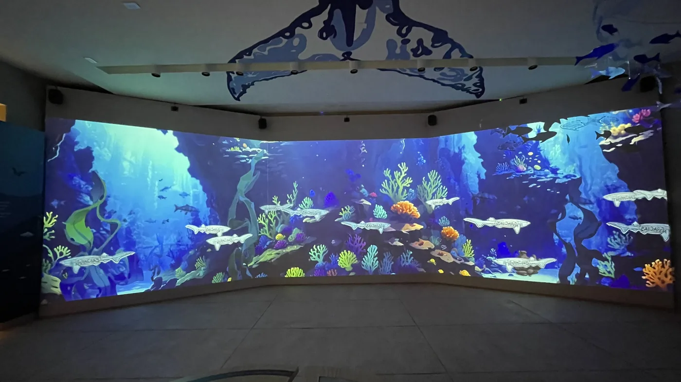 Océano virtual proyectado sobre muro en el Museo Casa del Marino de Mazatlán