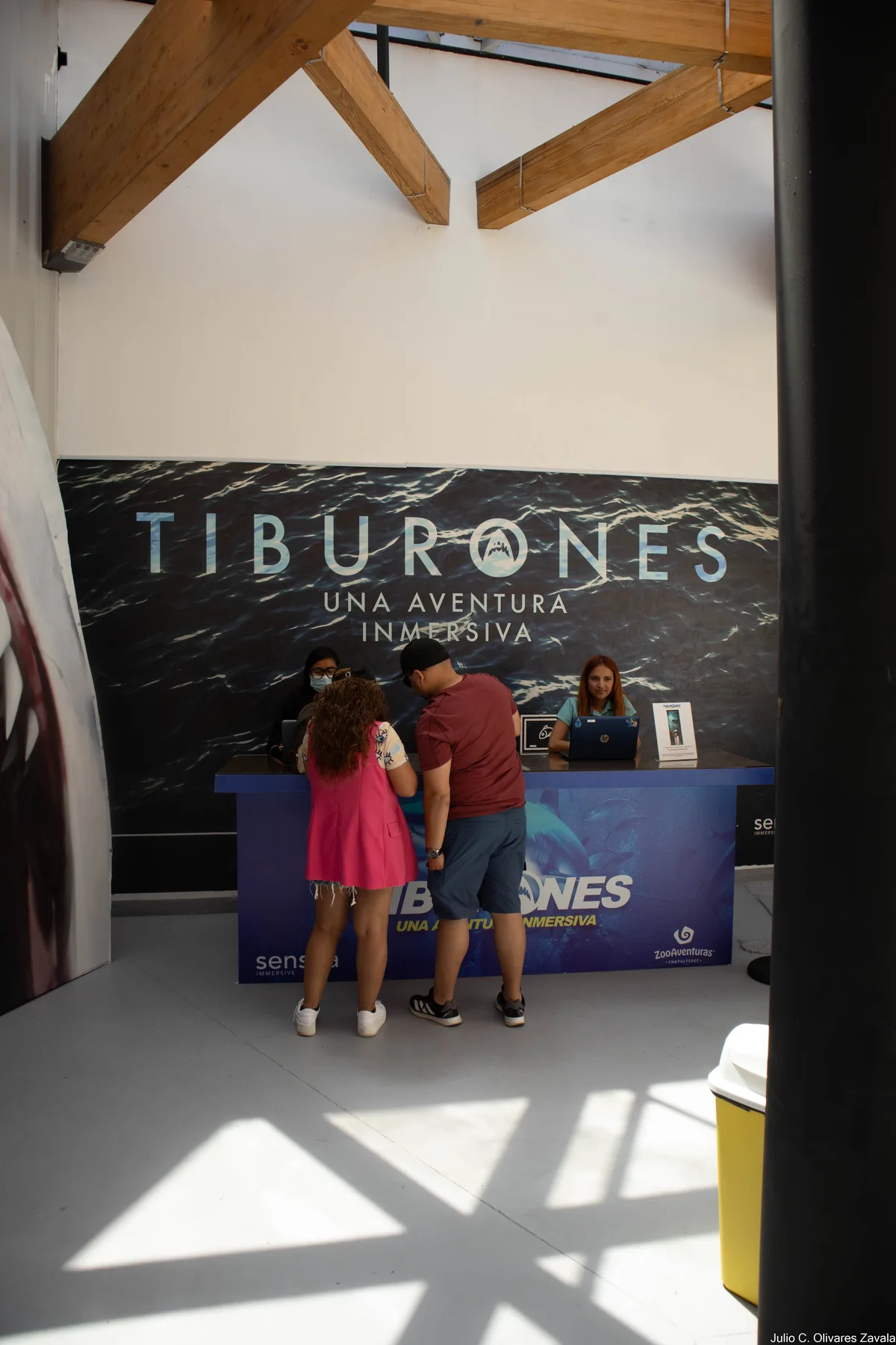 Experiencia de Escala instalación Vortyze