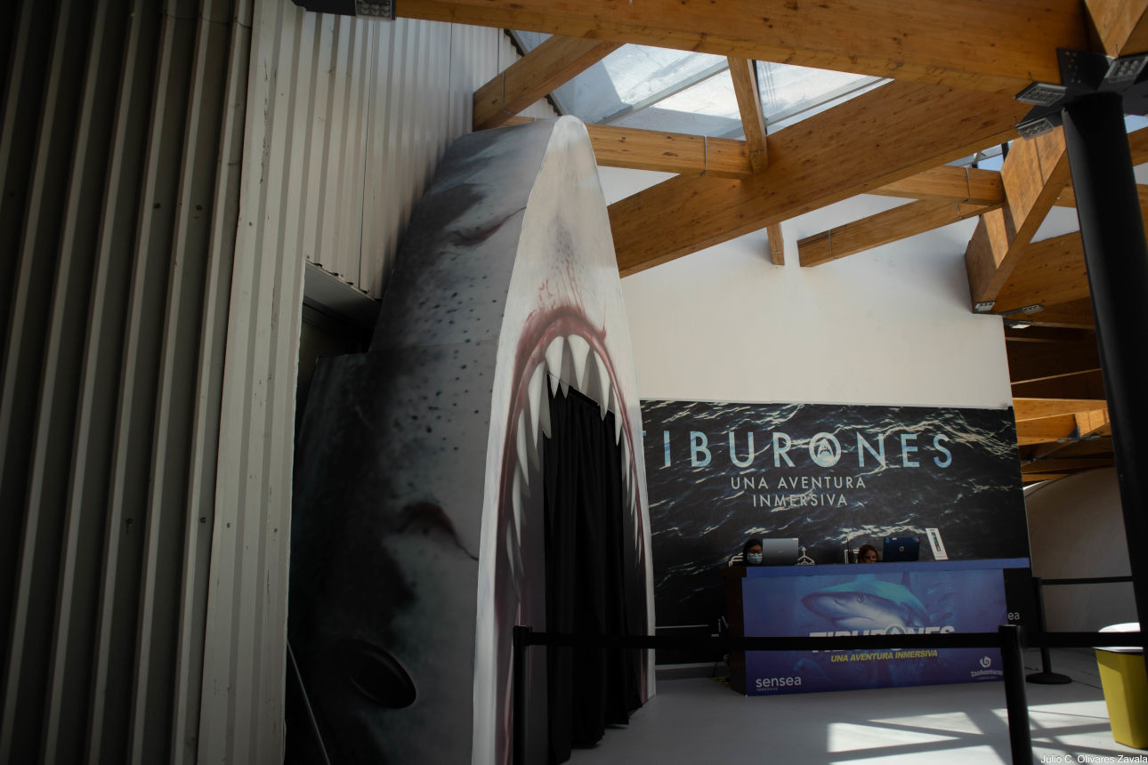 exposición digital tiburones